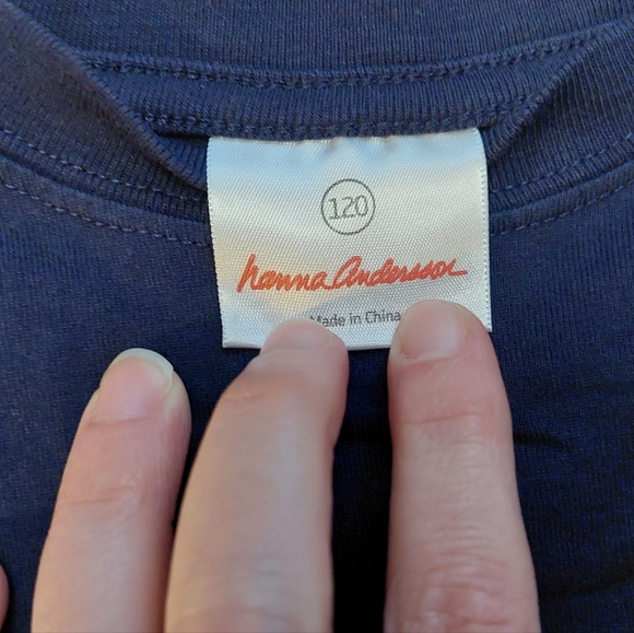 Another arachnid! - Picture 4 of 10